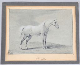 HENDRIK WILLEM SCHWEICKHARDT (1746-1797). STUDY OF A HORSE.