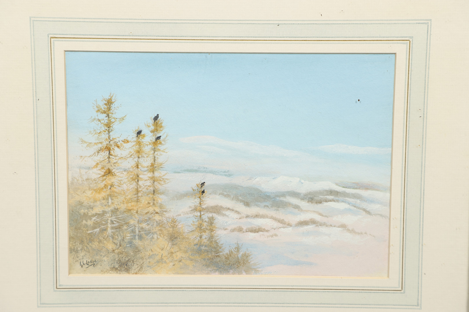 GEORGE EDWARD LODGE (1860-1954). BLACKGAME IN FIR TREES, WINTER. (d) - Image 3 of 7