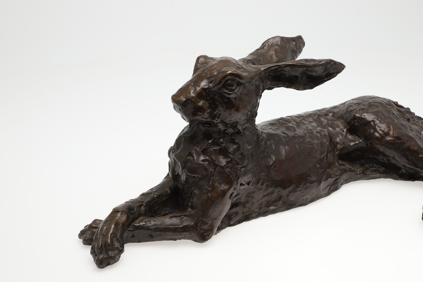JOHN COX (1952-2014) LARGE BRONZE STUDY OF A RESTING HARE. (d) - Image 3 of 9