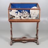 MAHOGANY MUSEUM CABINET & LARGE PIECES OF CORAL & SHELLS.