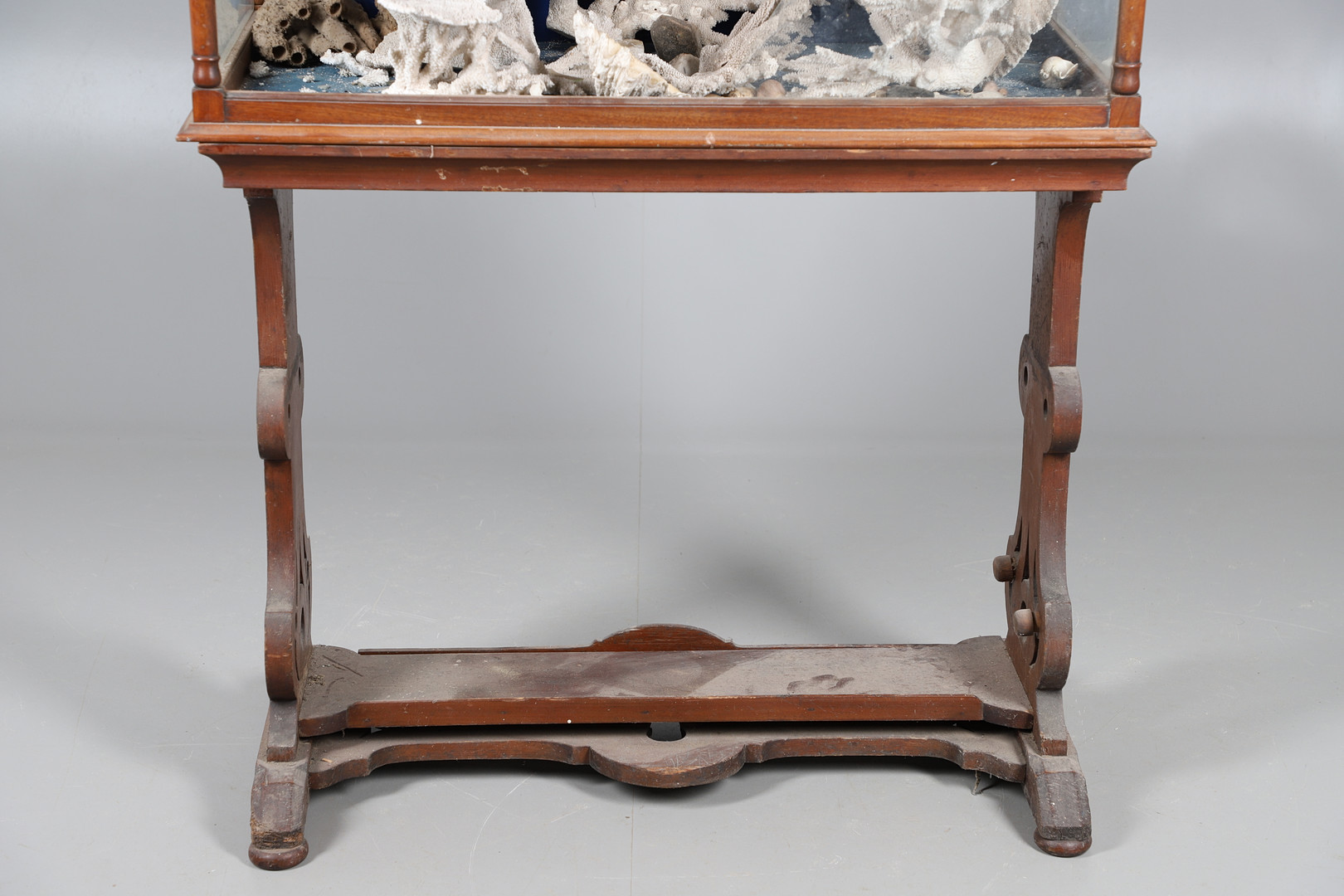 MAHOGANY MUSEUM CABINET & LARGE PIECES OF CORAL & SHELLS. - Image 3 of 13