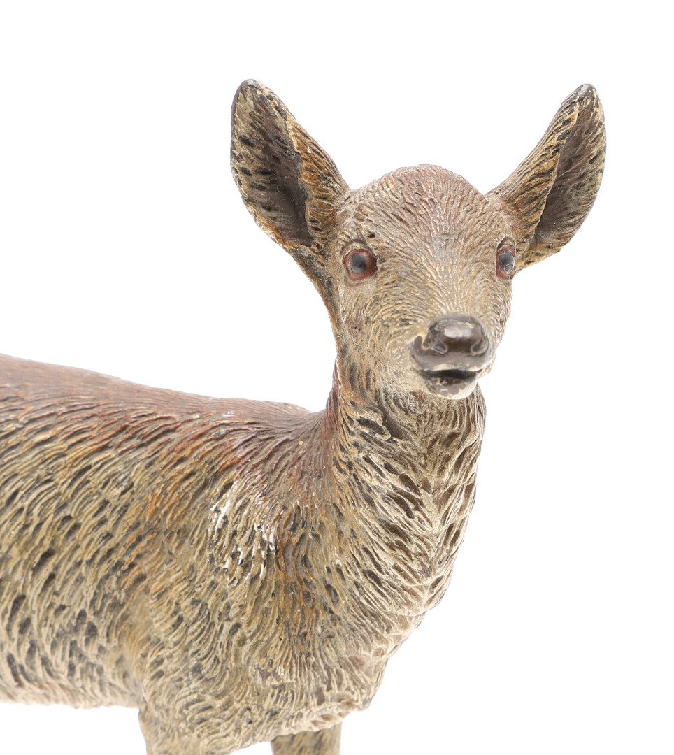 AUSTRIAN COLD PAINTED BRONZE HIND DEER - MANNER OF BERGMAN. - Image 2 of 6