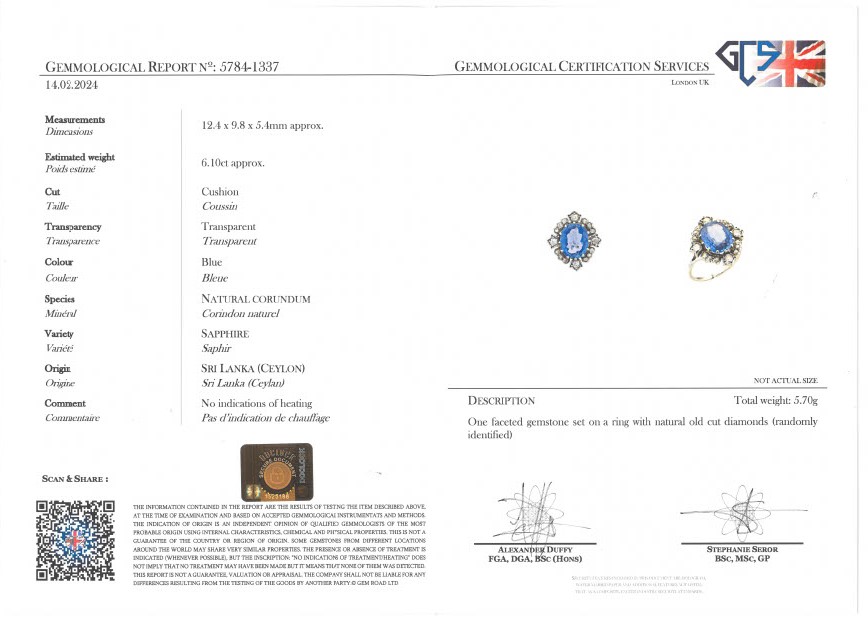 A SAPPHIRE AND DIAMOND CLUSTER RING. - Image 8 of 8