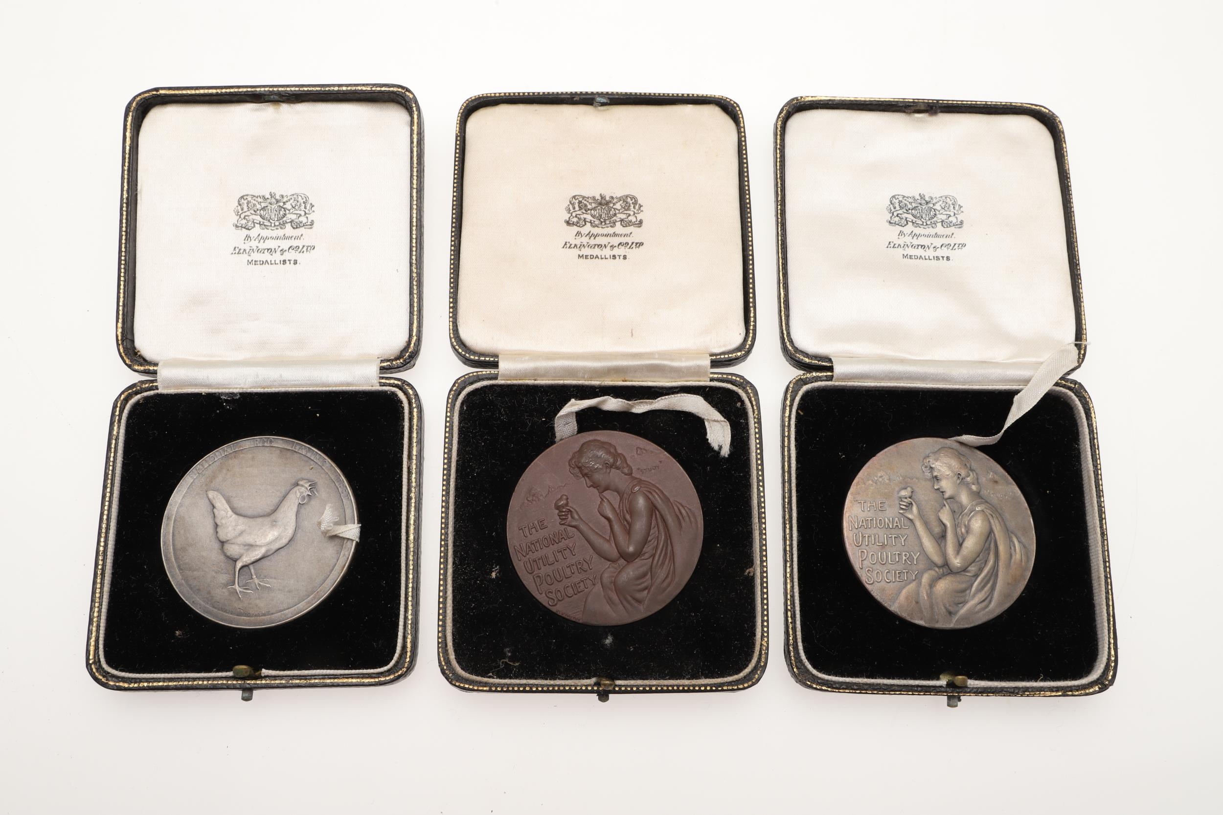 AN EXTENSIVE COLLECTION OF GOLD, SILVER AND BRONZE MEDALS FOR EGG LAYING. - Image 14 of 23