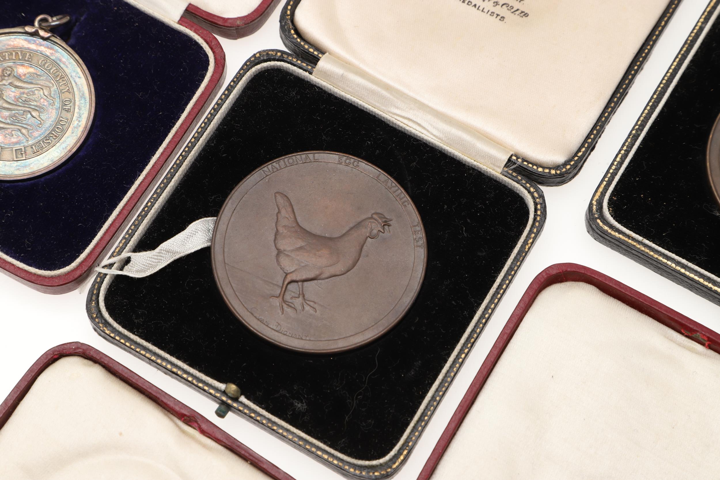 AN EXTENSIVE COLLECTION OF GOLD, SILVER AND BRONZE MEDALS FOR EGG LAYING. - Image 6 of 23