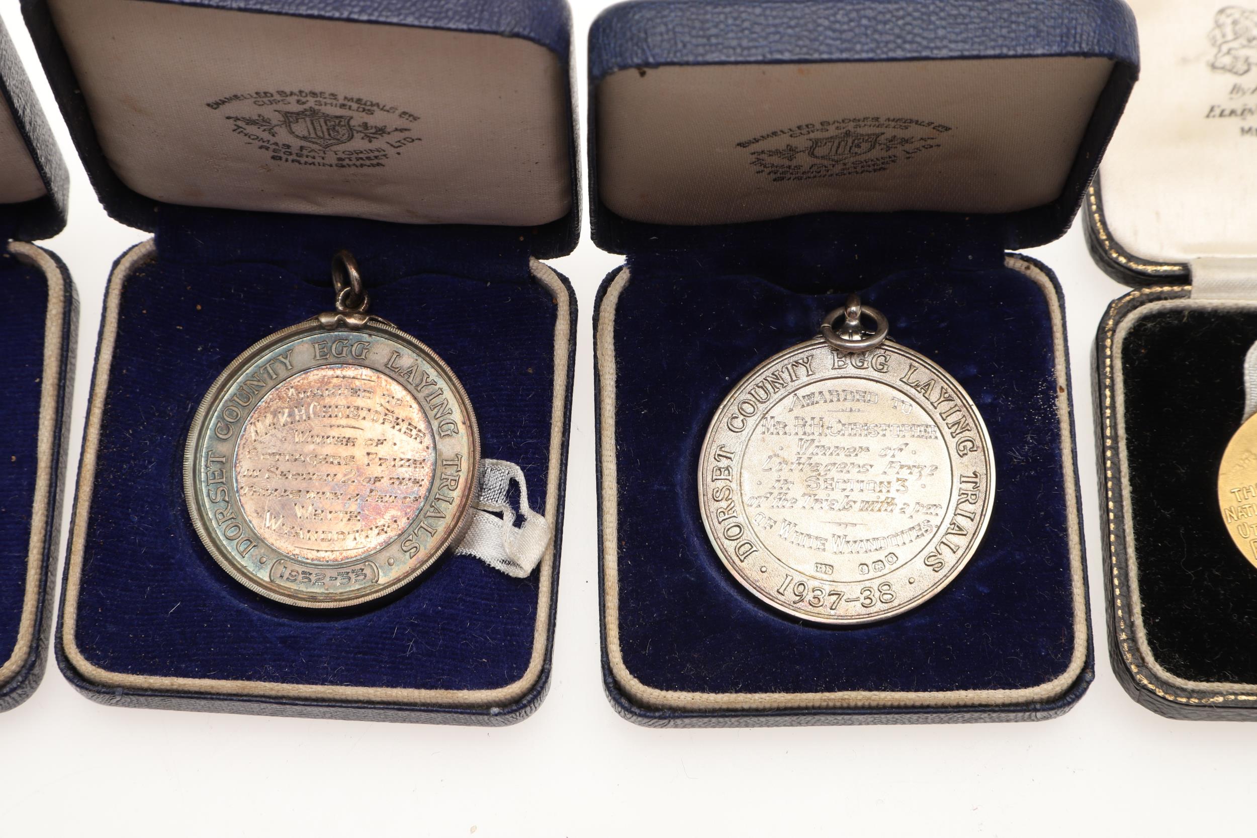AN EXTENSIVE COLLECTION OF GOLD, SILVER AND BRONZE MEDALS FOR EGG LAYING. - Image 23 of 23