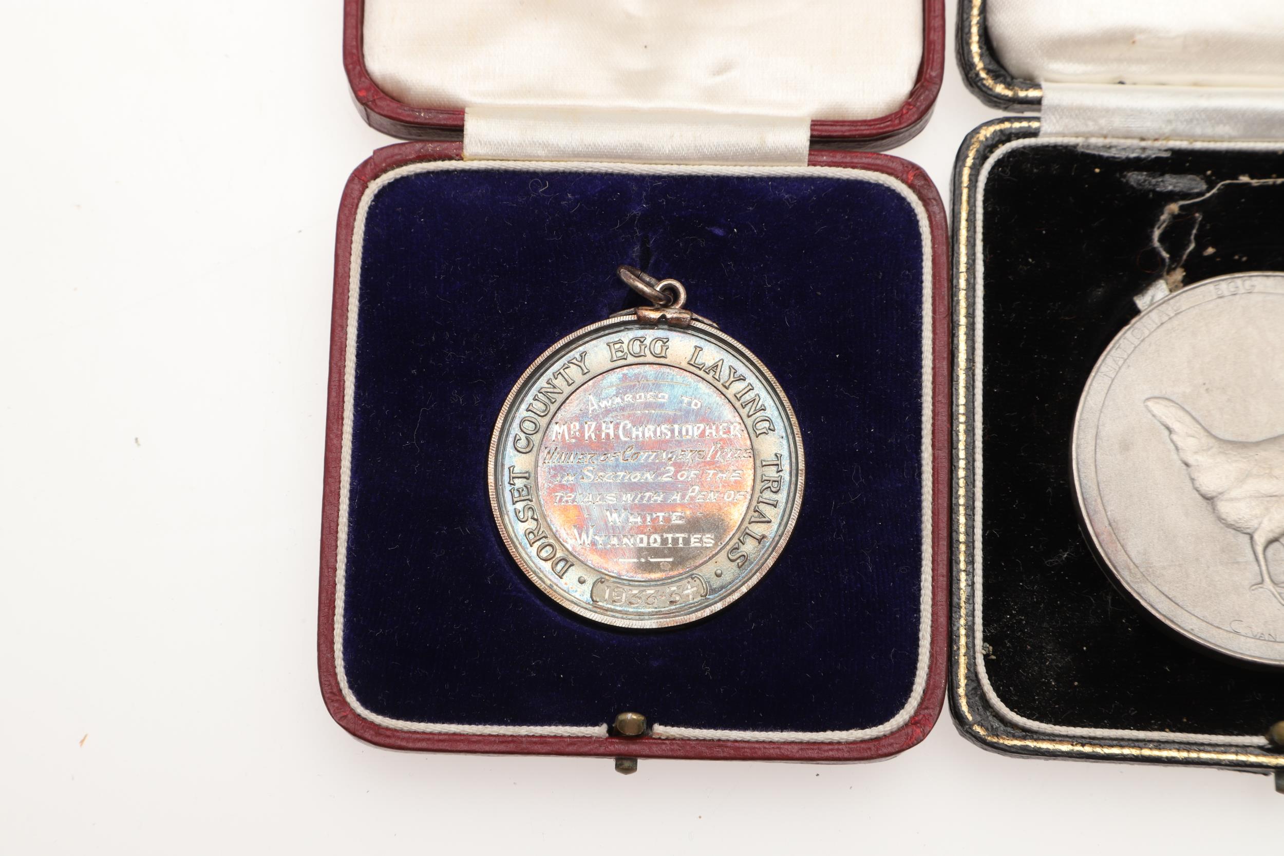 AN EXTENSIVE COLLECTION OF GOLD, SILVER AND BRONZE MEDALS FOR EGG LAYING. - Image 16 of 23