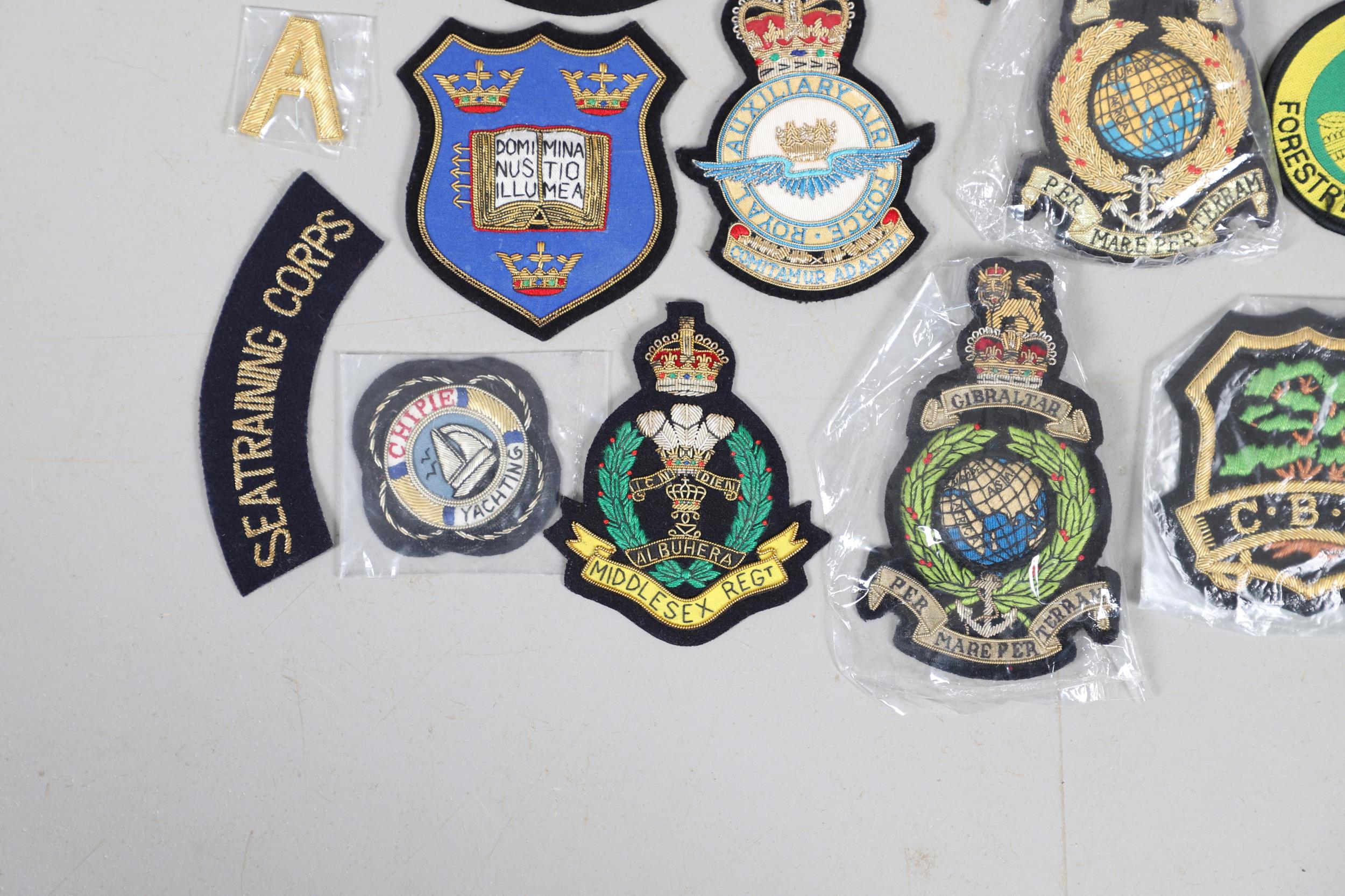 A LARGE COLLECTION OF MILITARY BADGES, MANY BLAZER BADGES AND OTHERS. - Image 8 of 23