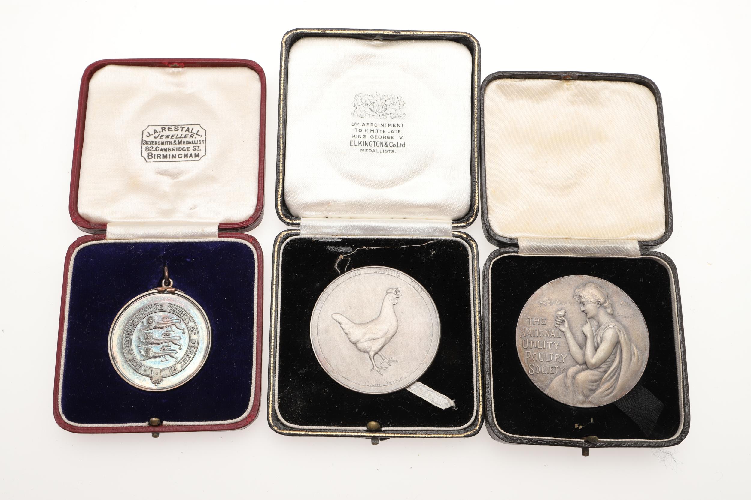 AN EXTENSIVE COLLECTION OF GOLD, SILVER AND BRONZE MEDALS FOR EGG LAYING. - Image 22 of 23