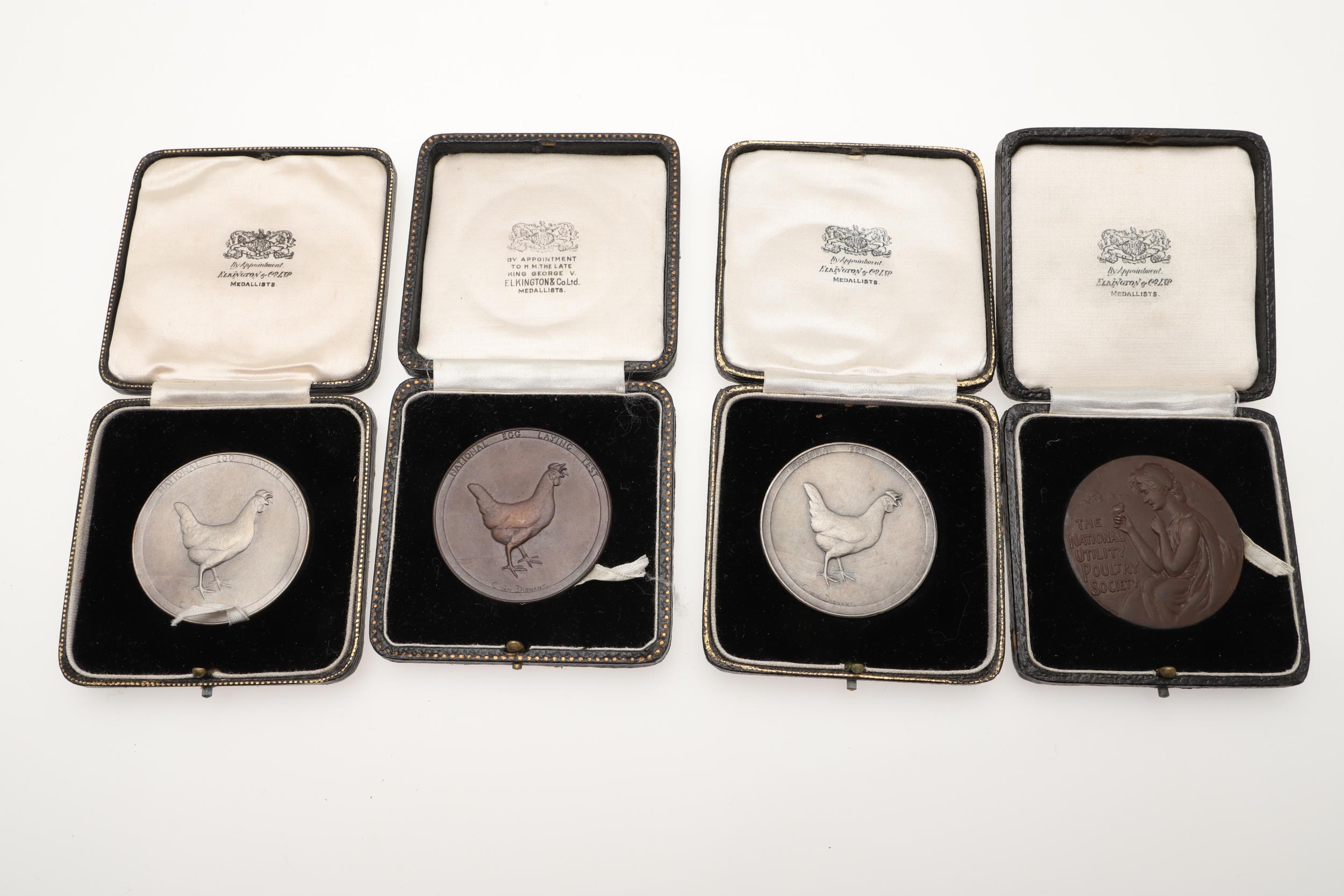 AN EXTENSIVE COLLECTION OF GOLD, SILVER AND BRONZE MEDALS FOR EGG LAYING. - Image 12 of 23