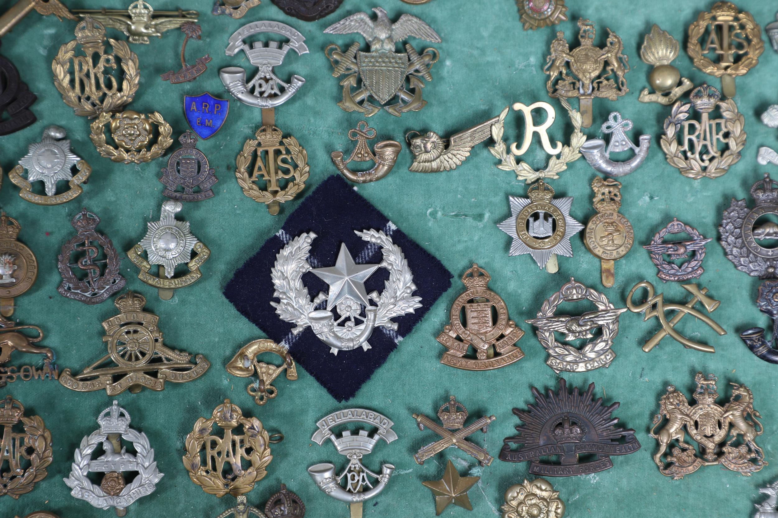 A COLLECTION OF MILITARY CAP BADGES AND OTHER INSIGNIA. - Bild 7 aus 11