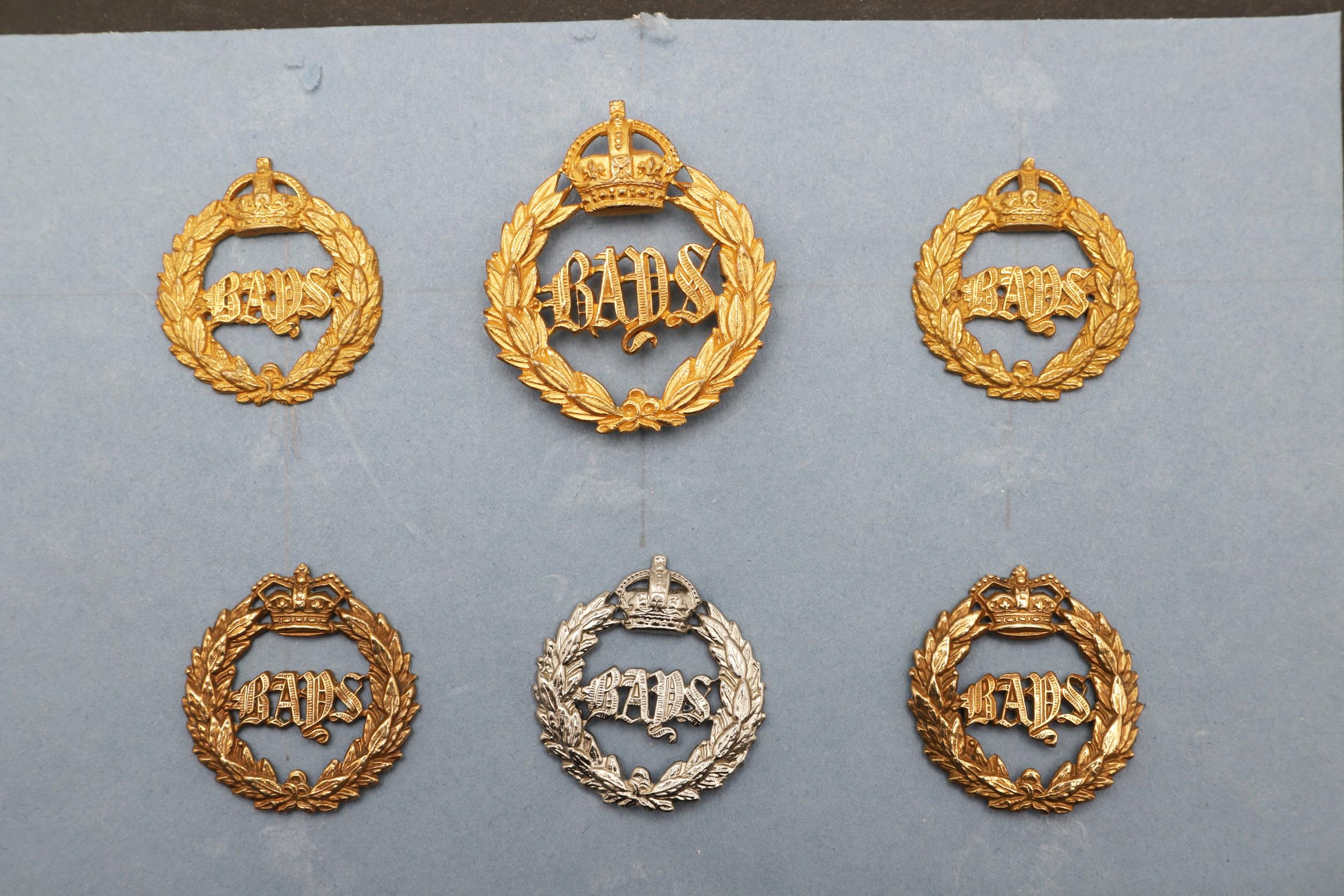 AN INTERESTING COLLECTION OF 2ND DRAGOON GUARDS CAP AND OTHER BADGES. - Image 2 of 4