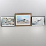 THREE SECOND WORLD WAR AVIATION PRINTS AFTER ROBERT TAYLOR WITH VARIOUS SIGNATURES.