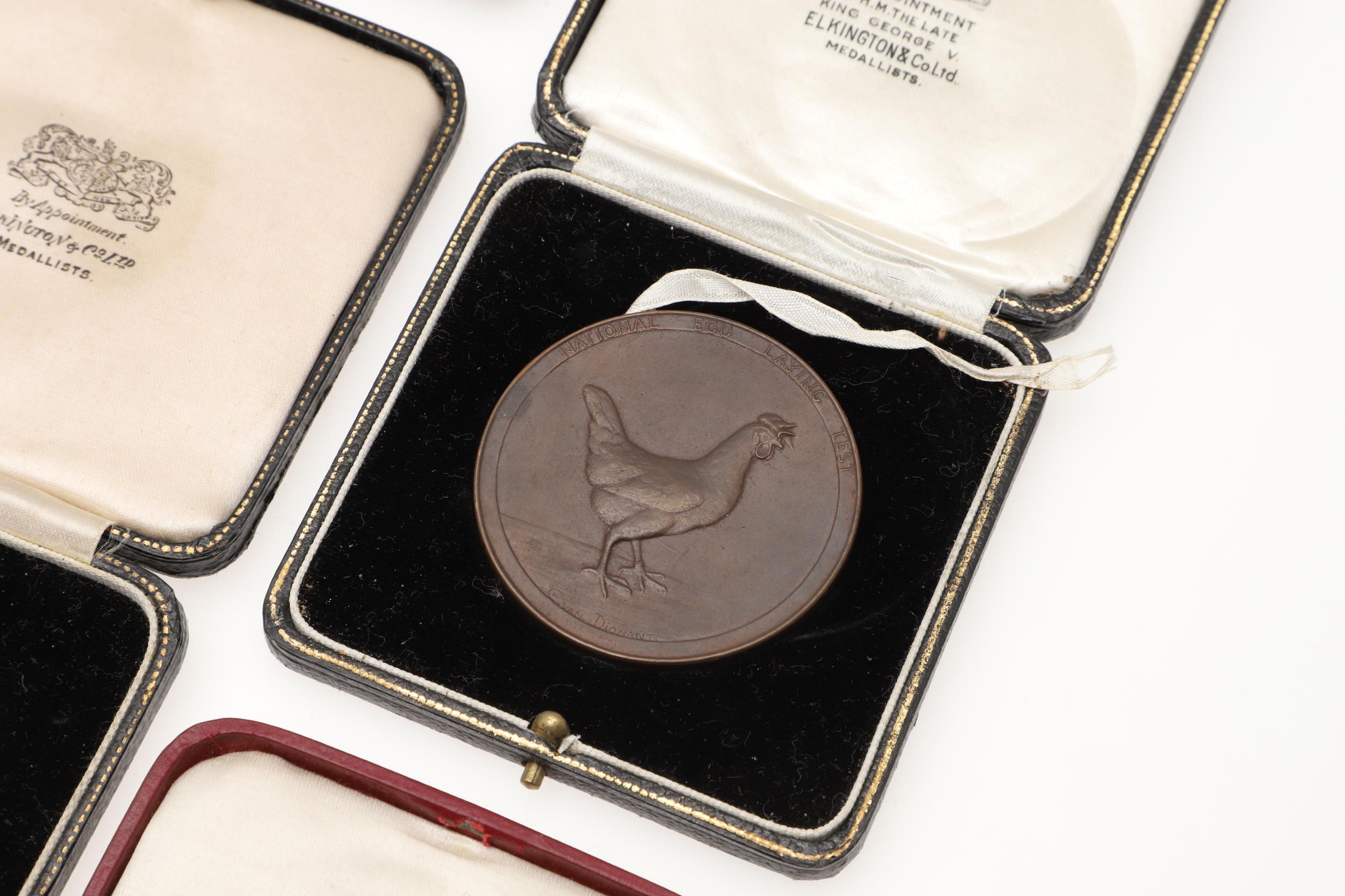 AN EXTENSIVE COLLECTION OF GOLD, SILVER AND BRONZE MEDALS FOR EGG LAYING. - Image 9 of 23
