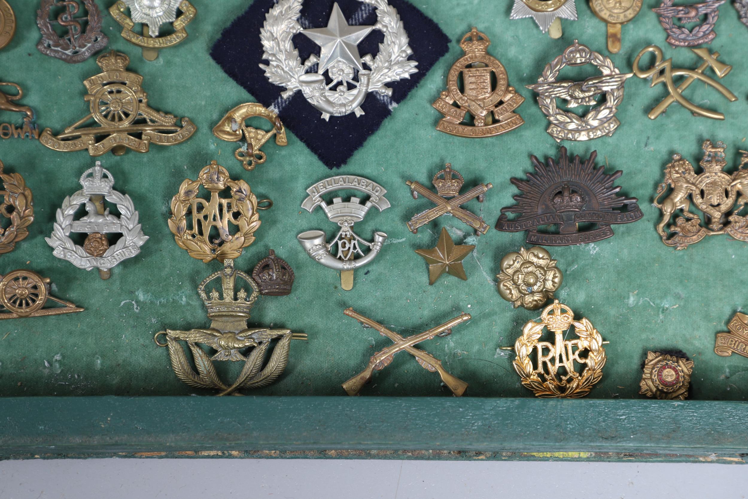 A COLLECTION OF MILITARY CAP BADGES AND OTHER INSIGNIA. - Bild 10 aus 11