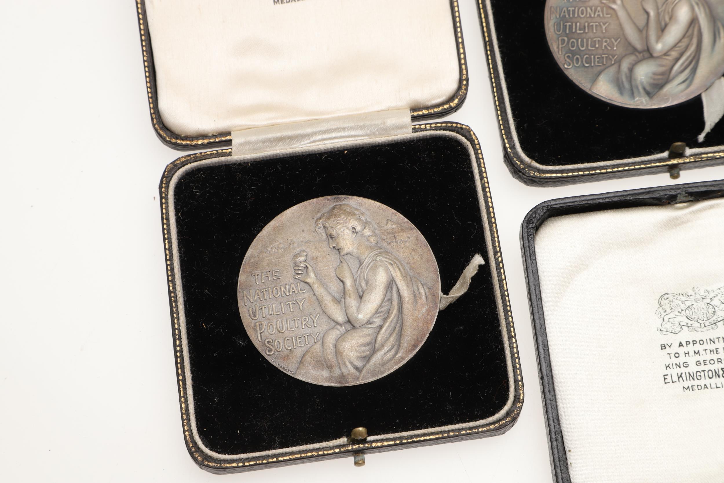 AN EXTENSIVE COLLECTION OF GOLD, SILVER AND BRONZE MEDALS FOR EGG LAYING. - Image 5 of 23