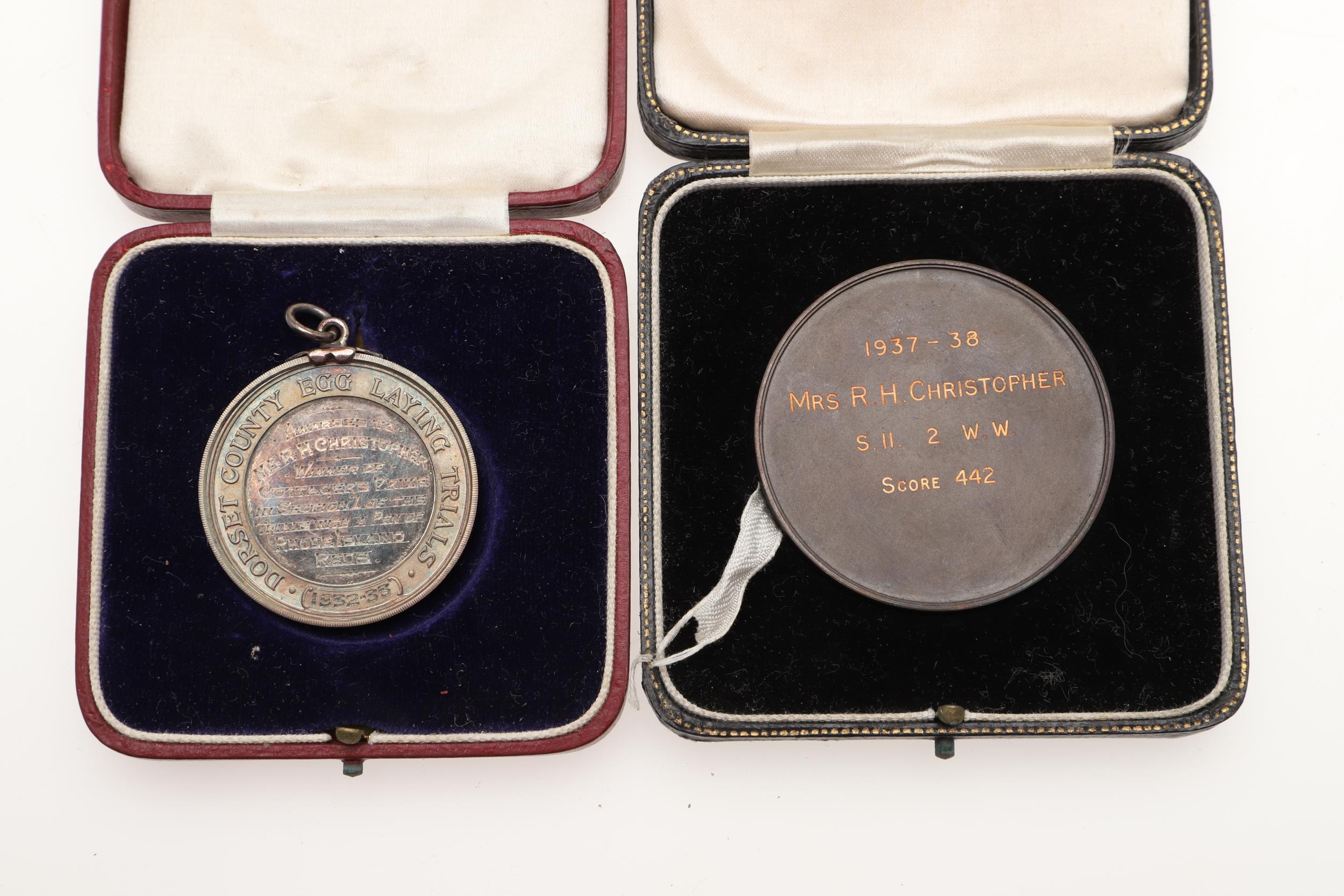 AN EXTENSIVE COLLECTION OF GOLD, SILVER AND BRONZE MEDALS FOR EGG LAYING. - Image 17 of 23