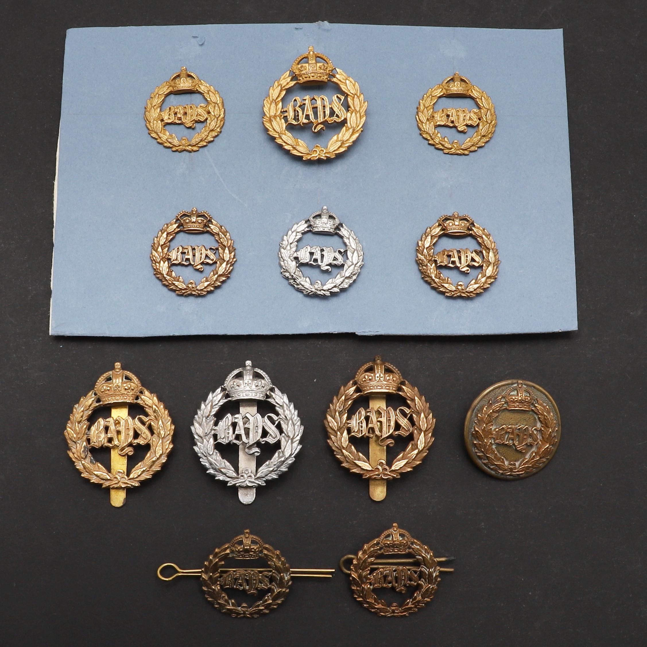 AN INTERESTING COLLECTION OF 2ND DRAGOON GUARDS CAP AND OTHER BADGES.