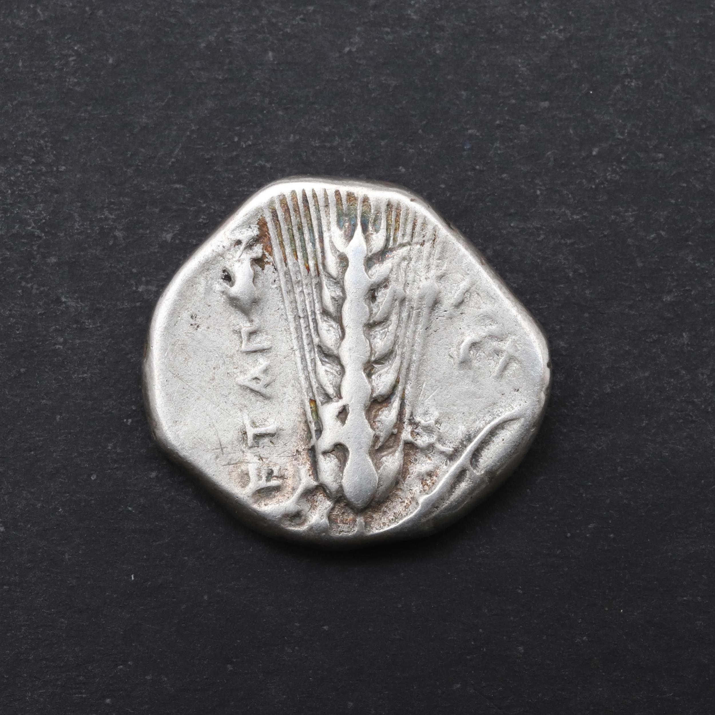 GREEK COINS: METAPONTION, SILVER STATER, 330 - 300 BC. - Bild 2 aus 4