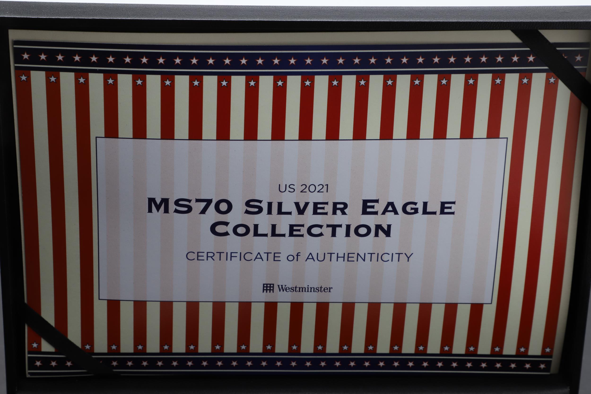 A COLLECTION OF AMERICAN AND OTHER HISTORIC SILVER ISSUES IN PRESENTATION CASES. - Bild 9 aus 13