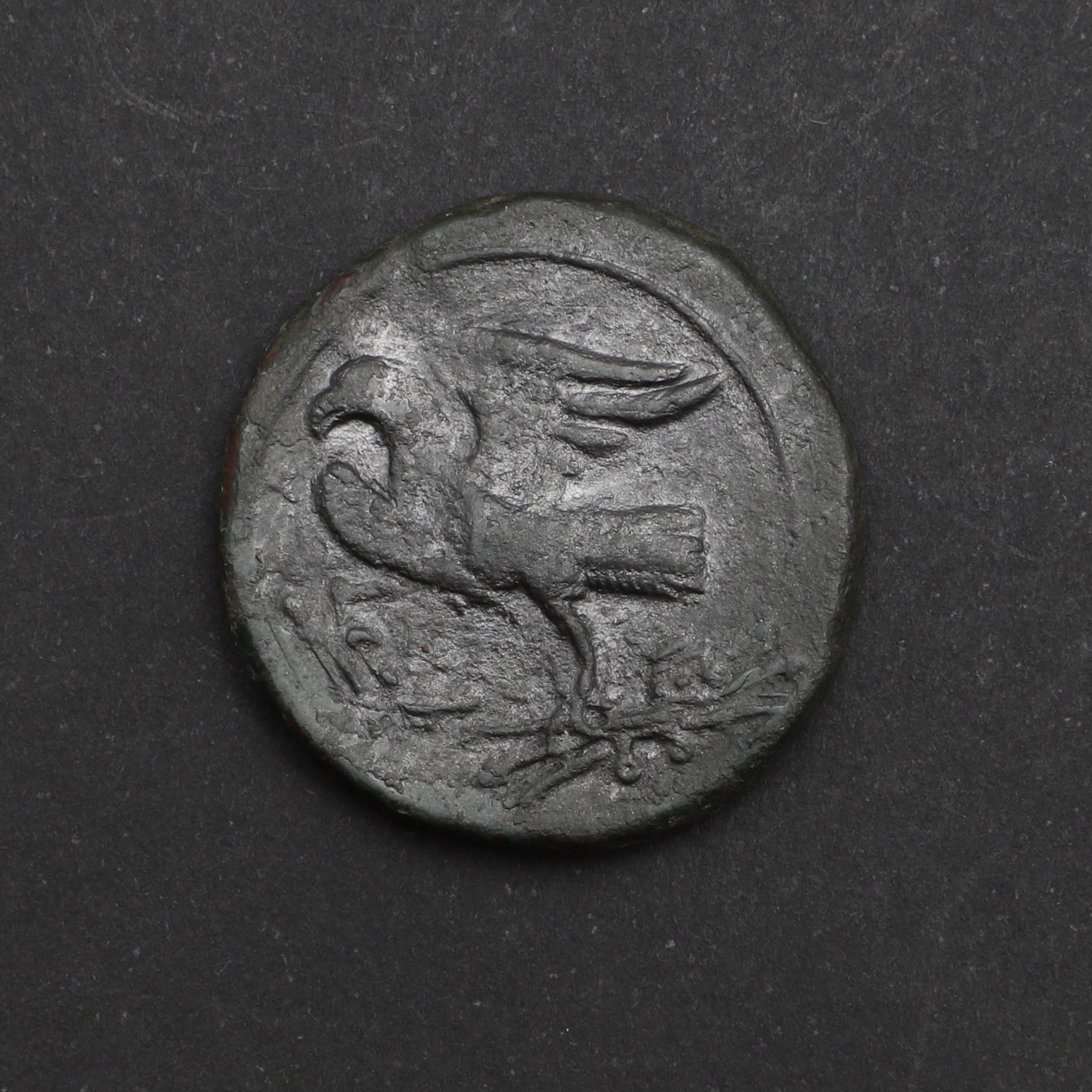 GREEK COINAGE: VENUSIA. APULIA c. 210-200 B.C. - Bild 2 aus 4