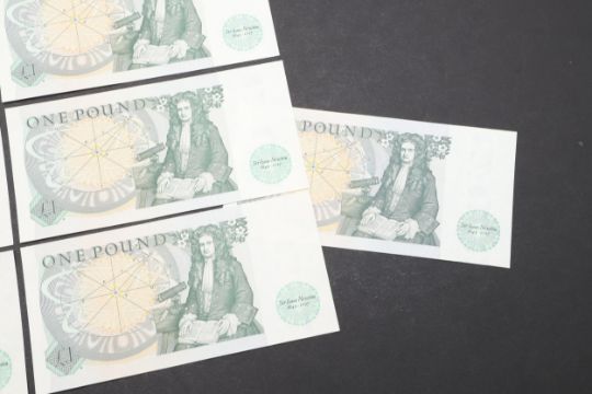 A COLLECTION OF 23 SERIES D ONE POUND NOTES TO INCLUDE CONSECUTIVE RUNS. - Image 10 of 10