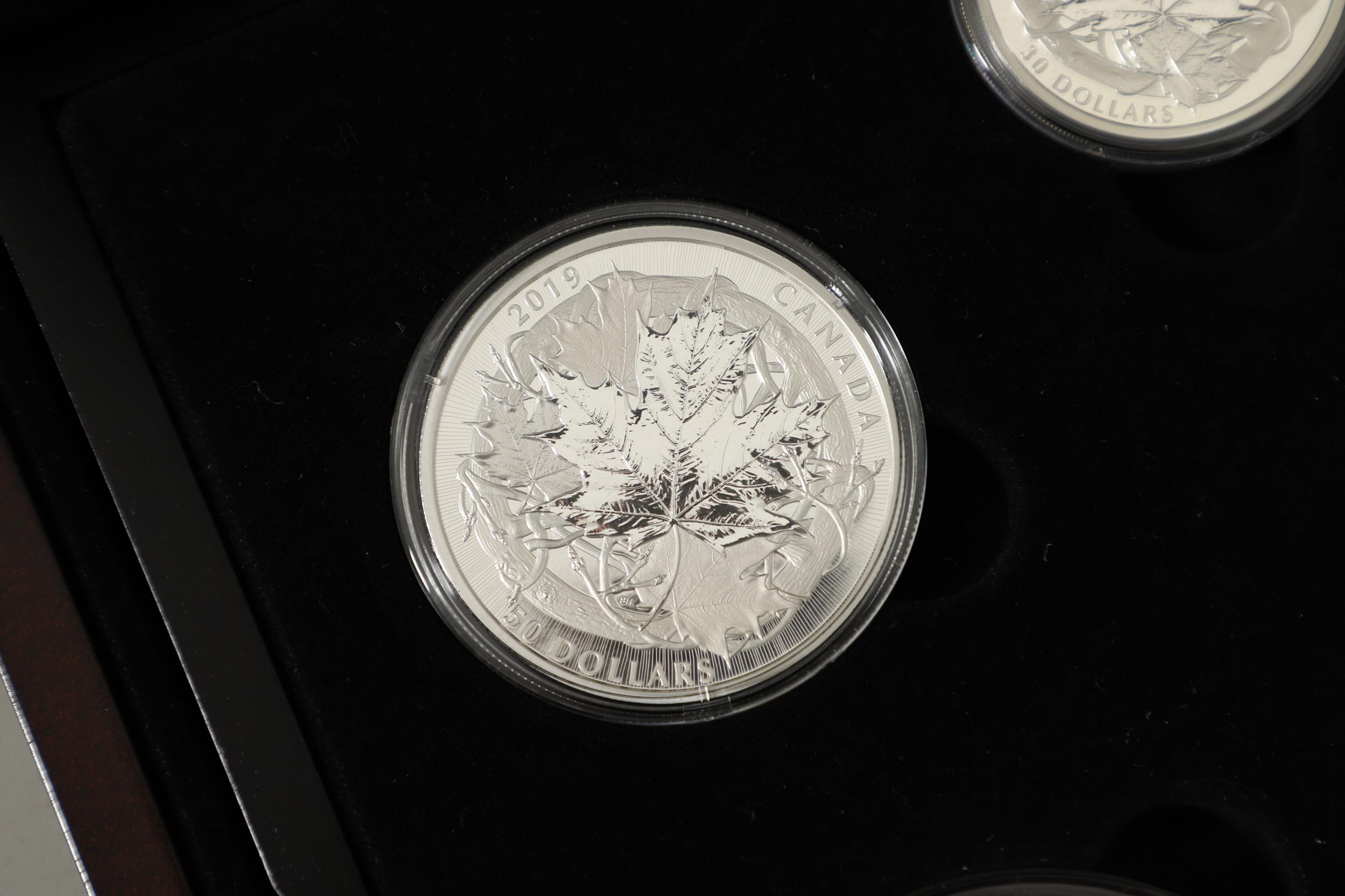 AN ELIZABETH II ROYAL CANADIAN MINT SILVER FIVE COIN 'MAPLE MASTERS' COLLECTION. 2019. - Bild 11 aus 15