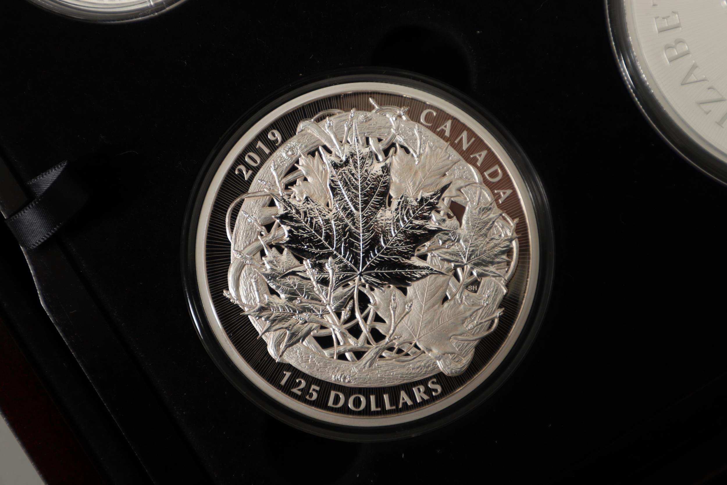 AN ELIZABETH II ROYAL CANADIAN MINT SILVER FIVE COIN 'MAPLE MASTERS' COLLECTION. 2019. - Bild 10 aus 15