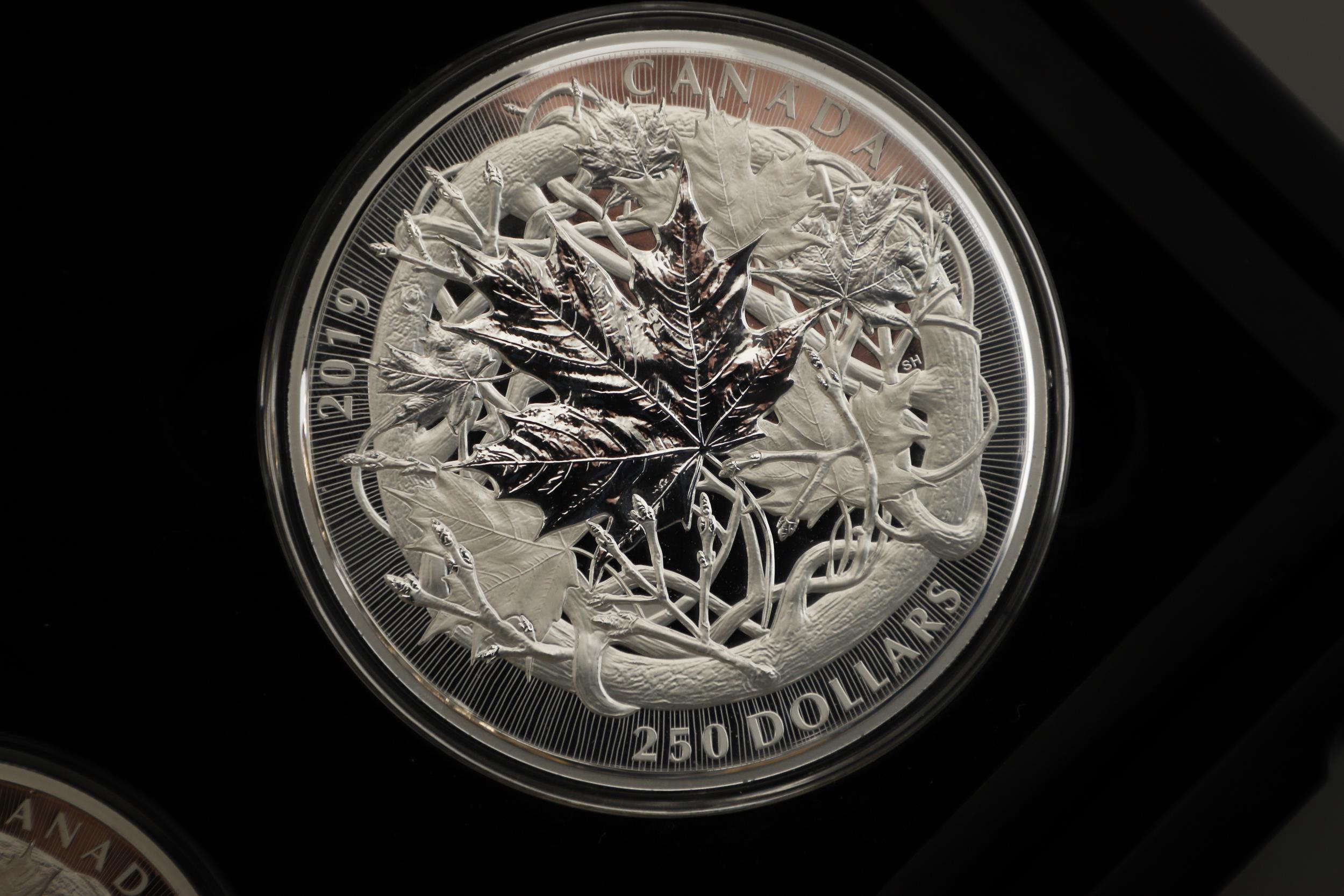 AN ELIZABETH II ROYAL CANADIAN MINT SILVER FIVE COIN 'MAPLE MASTERS' COLLECTION. 2019. - Bild 9 aus 15