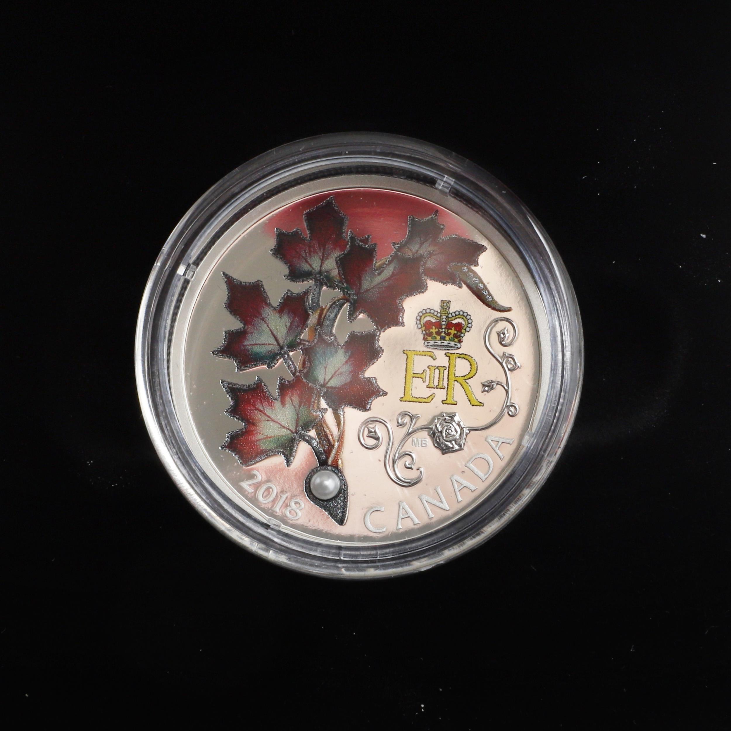 A COLLECTION OF ROYAL CANADIAN MINT SILVER PROOF COMMEMORATIVE ISSUES. - Image 7 of 14