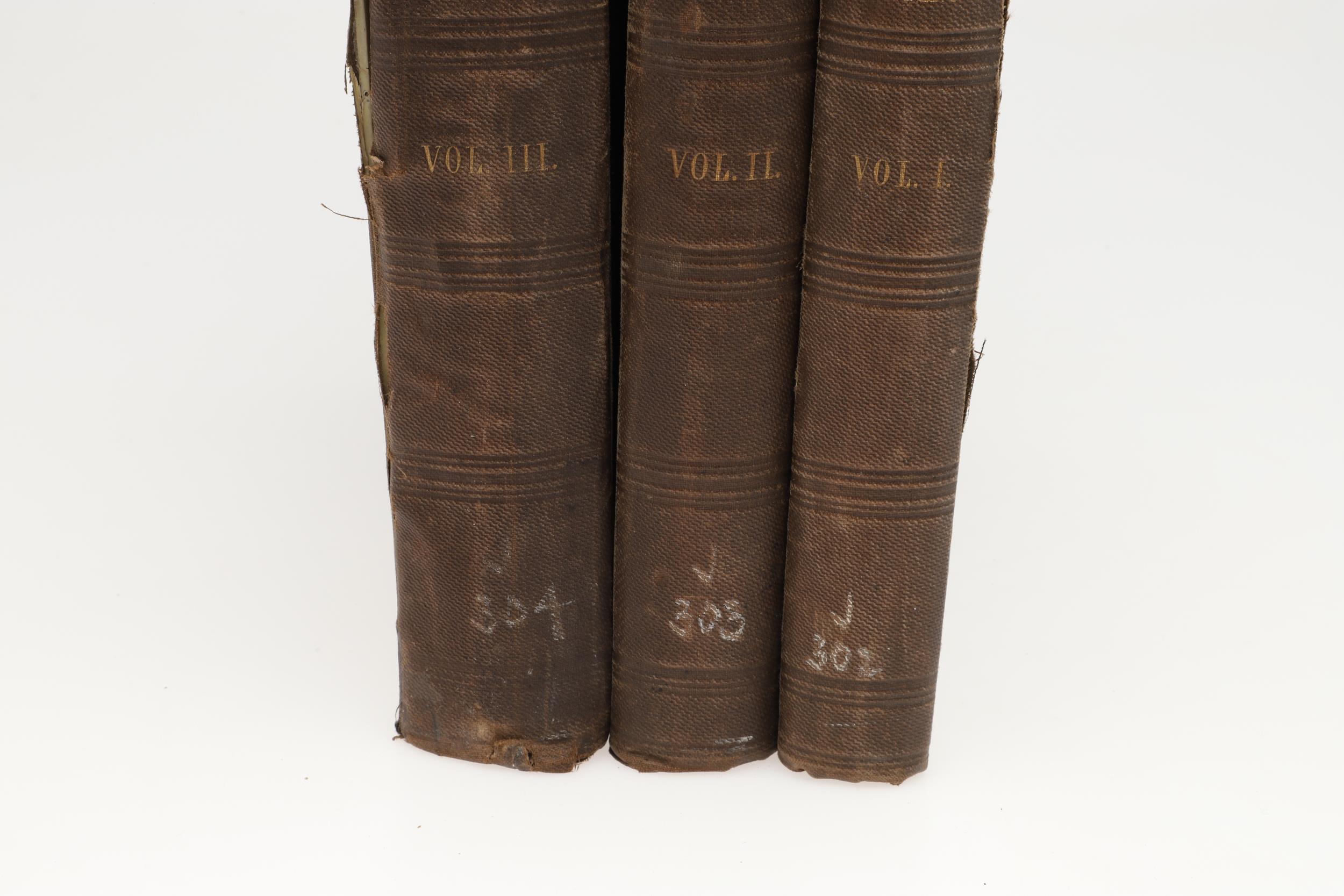 ANNALS OF THE COINAGE OF GREAT BRITAIN, 1840, THE REV. ROGERS RUDING. 3 VOLUMES. - Image 3 of 10