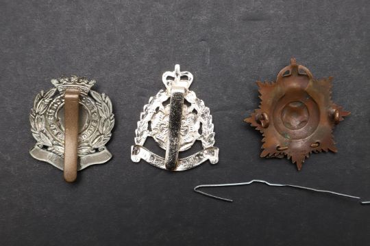 A COLLECTION OF NINE BADGES FOR THE HAMPSHIRE REGIMENT. - Image 9 of 10