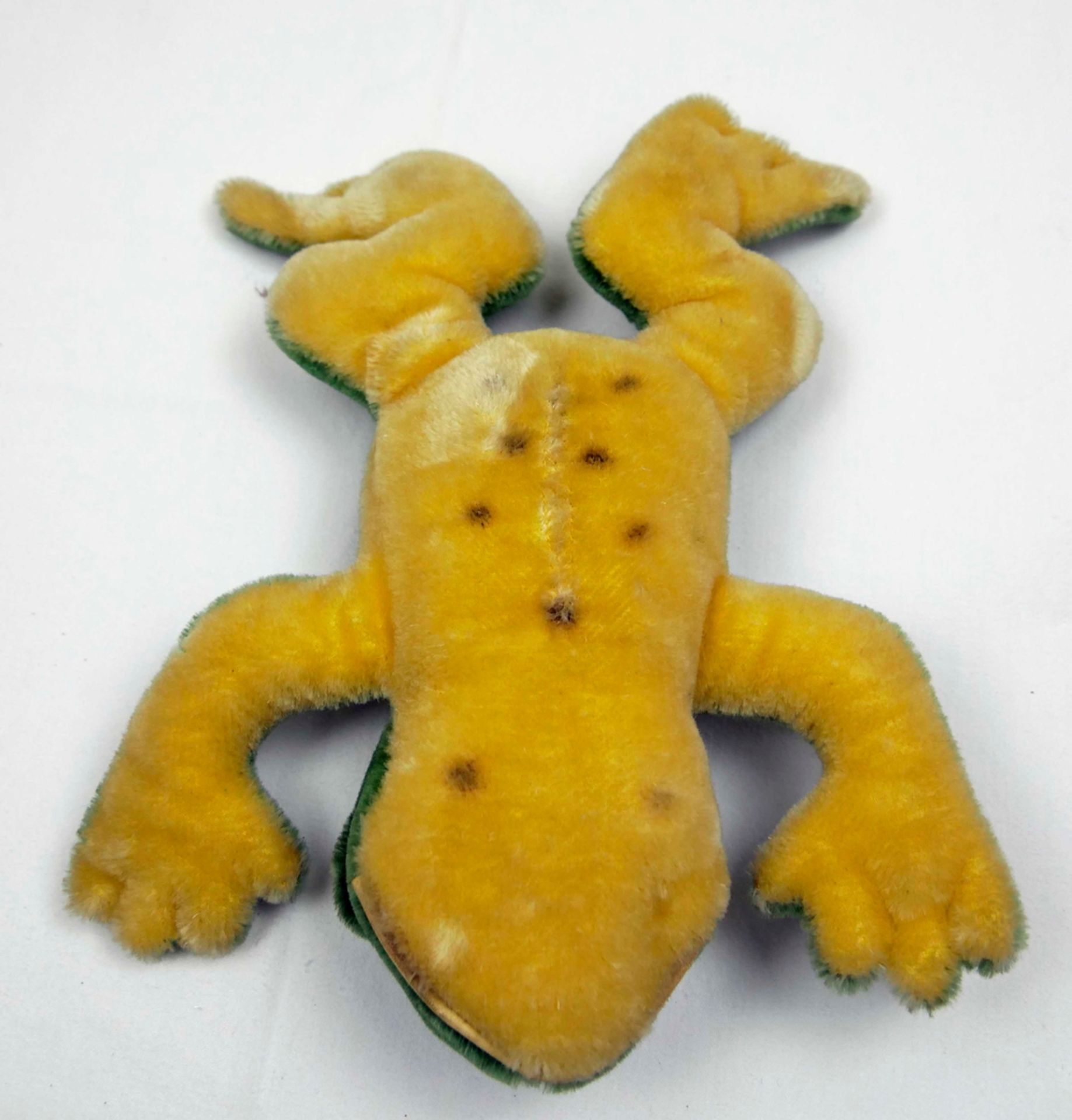 Steiff Frosch Froggy, ohne Knopf & Fahne, bespielter Zustand. Länge ca. 28 cm - Image 3 of 3