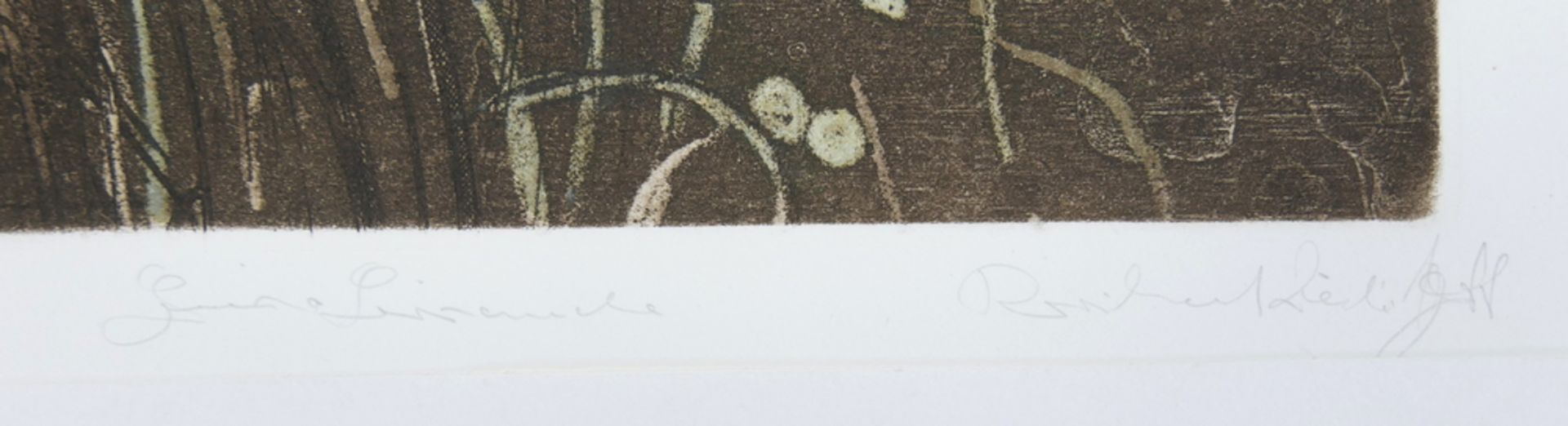 Druckgraphik "Gräser" unleserliche Signatur, handsigniert. Blatt 36/75. Blattmaße: Höhe ca. 65,5 cm, - Image 2 of 2