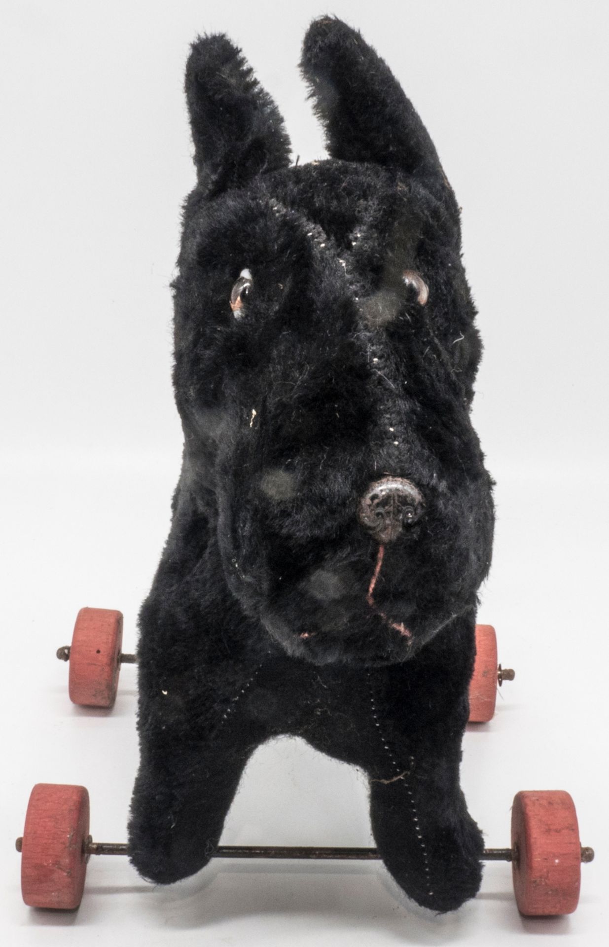 Steiff Scottie auf Rädern, ohne KFS. Höhe: ca. 24 cm, Länge: ca. 24 cm. - Bild 2 aus 5