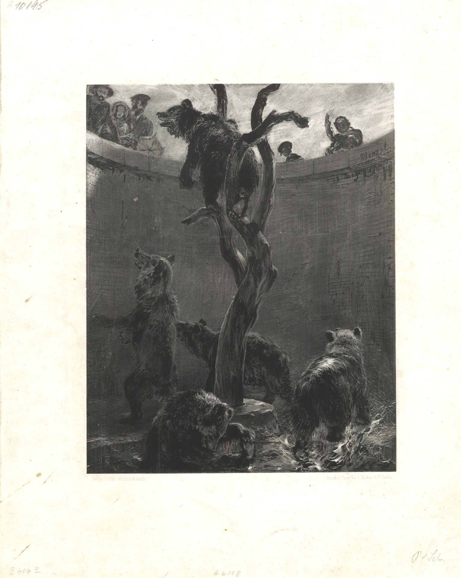 Lithographie "Die Bärengruppe, 1851" Druck von Korn bei L Sachse Berlin. Blattmaße: Höhe ca. 37