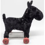 Steiff Scottie auf Rädern, ohne KFS. Höhe: ca. 24 cm, Länge: ca. 24 cm.