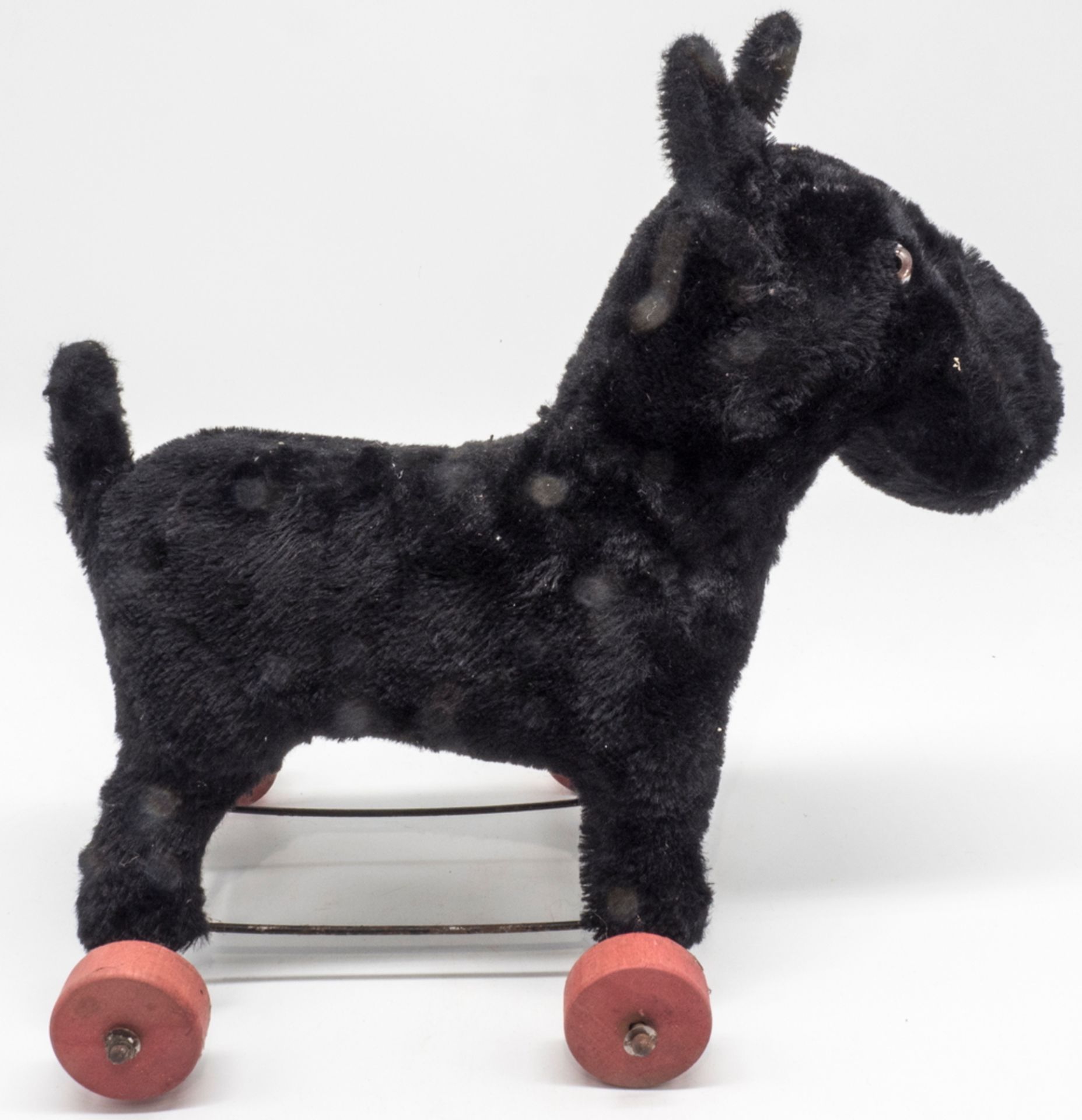 Steiff Scottie auf Rädern, ohne KFS. Höhe: ca. 24 cm, Länge: ca. 24 cm.