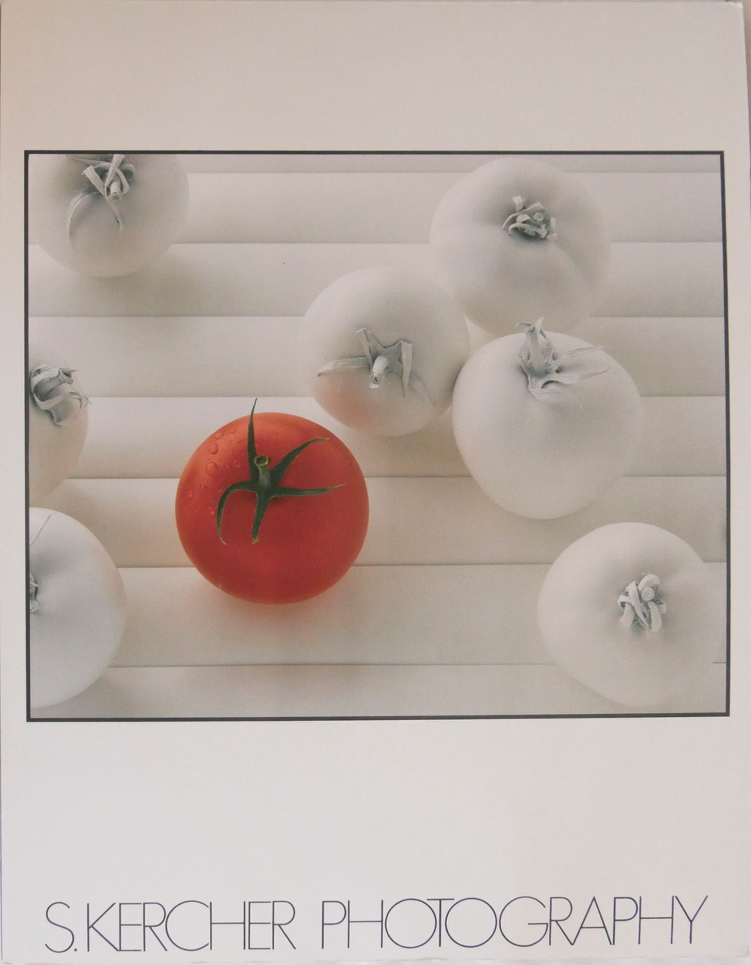 Druck "Tomatoes", Siegbert Kercher, 1983, Maße: Breite ca. 58 cm und Höhe ca. 75 cm.