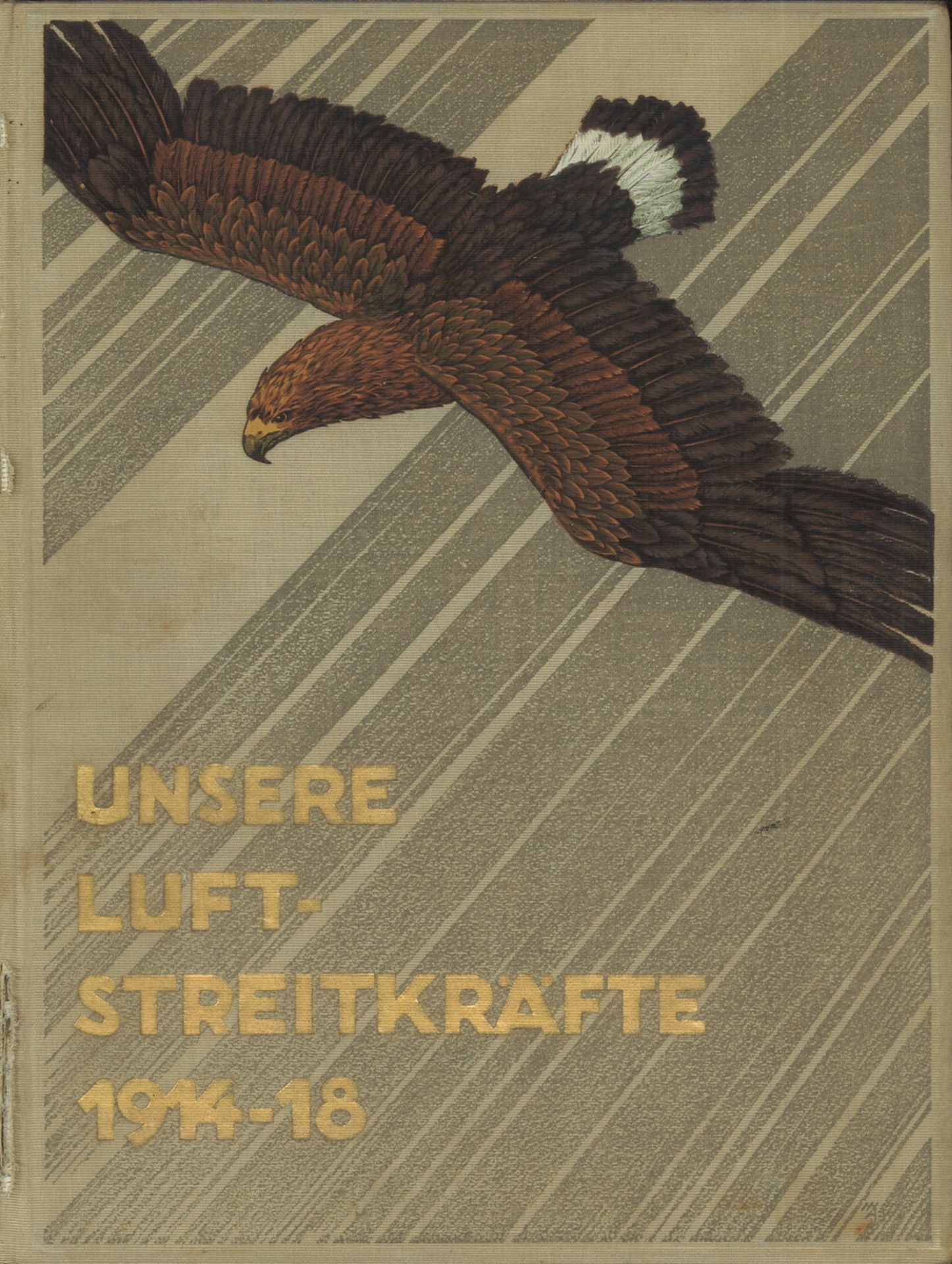 Buch "Unsere Luftstreitkräfte 1914-1918", Herausgeber Walter von Eberhardt, Grossband ca. 520