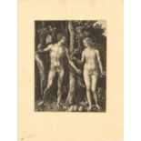 Druck-Grafik "Adam und Eva" Hieronymus Wierix (1553 - 1619) nach Albrecht Dürer, Maße: Breite ca. 29
