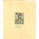 Lithografie "Pelikan" von Wolfgang Fratscher, 1/20, Signatur unten mittig 94, Fuhrmann, Ex Libris Dr