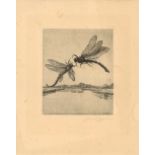 Radierung "Libellen" von Artur Zahn, Signatur unten rechts, Maße: Breite ca. 24 cm und Höhe ca. 30