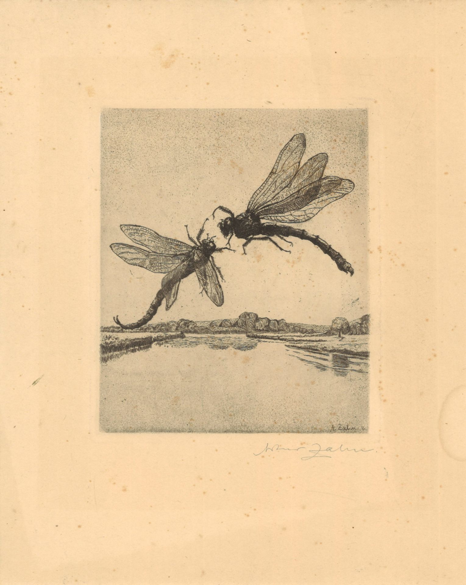 Radierung "Libellen" von Artur Zahn, Signatur unten rechts, Maße: Breite ca. 24 cm und Höhe ca. 30