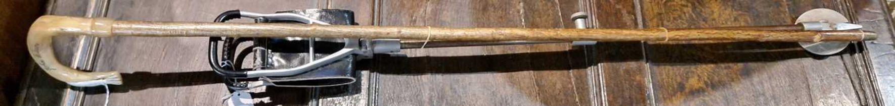 An antique horn handled walking cane with fish carved and painted detail to handle, inscribed '