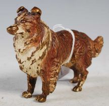An early 20th century cold painted bronze model of a collie dog, 8cm high x 12.5cm long.