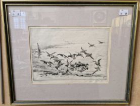 ARR Winifred Austin RI RE (1876-1964) Plovers etching, signed in pencil lower right, inscribed lower