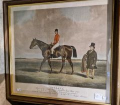 After B. Hubbard 'Cure-All, Winner of the Grand National Liverpool Steeple Chase 1845' coloured