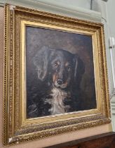 Late 19th / early 20th century British School Portrait of a collie dog oil on board 29.5cm x 27cm,