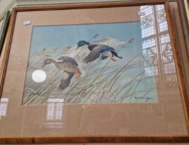 ARR Ralston Gudgeon RSW (1910-1984) Ducks coming in to land watercolour, signed lower right 30cm x